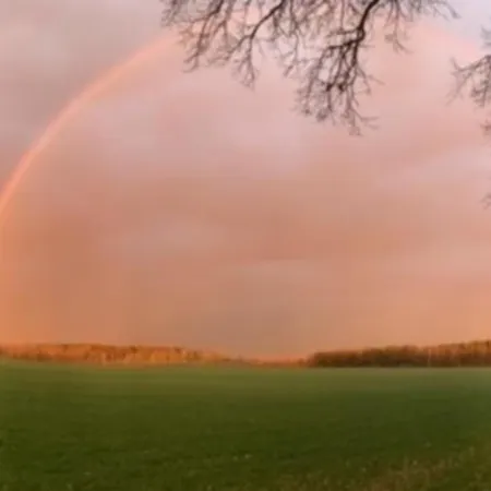 Hof Brockmann - Groat Fleet *