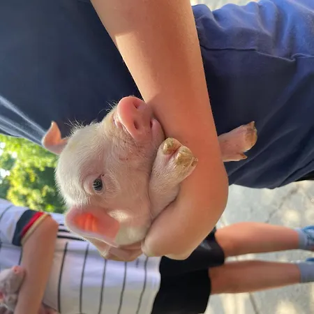 Hof Brockmann - Groat Fleet דירה *